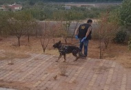 Polisten 13 kilo uyuşturucu baskını 