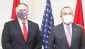 Pompeo, Çavuşoğlu'nu İstanbul'a çağırdı