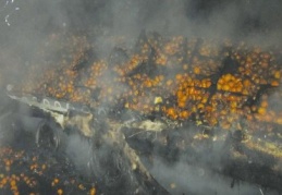 Portakal yüklü bir TIR’ın römorkunda yangın çıktı 