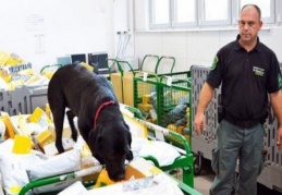 Postadan 16 kilo esrar çıktı
