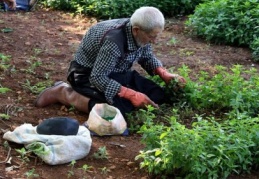 Ramazan’da güneş altında ekip topluyorlar 