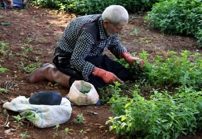 Ramazan’da güneş altında ekip topluyorlar 