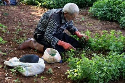 Ramazan&#8217;da güneş altında ekip topluyorlar 