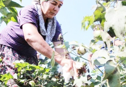 Rapor: Türkiye, Uganda, Burkina Faso ve Suriye’den de pamuk ithal ediyor