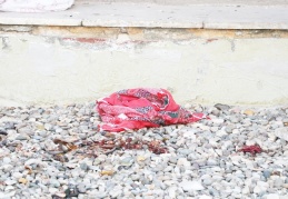 Rastgele girdiği apartmanın 8. katından atladı