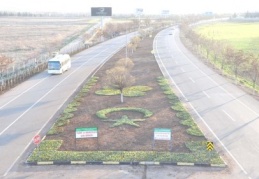 Refüj ve kavşaklara 3 bin 500 adet yeni bitki dikildi