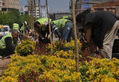 Refüjlere 300 bin adet çiçek dikiliyor