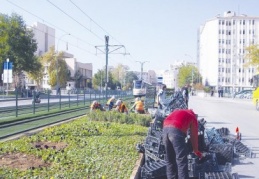 Refüjlere kış çiçekleri dikiliyor