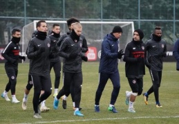 Rejenerasyon ve koordinasyon çalıştılar