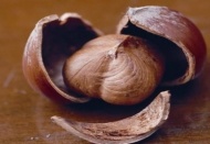 Rekor, fındık içinde