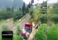 Rizeli'nin topladığı çayı kamyona yüklemek için bulduğu yöntem güldürdü