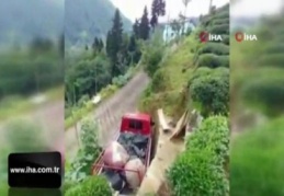 Rizeli'nin topladığı çayı kamyona yüklemek için bulduğu yöntem güldürdü