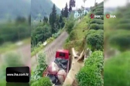 Rizeli&#039;nin topladığı çayı kamyona yüklemek için bulduğu yöntem güldürdü