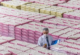 RK, yumurta üreticileri ve yumurta birlikleri inceleyecek