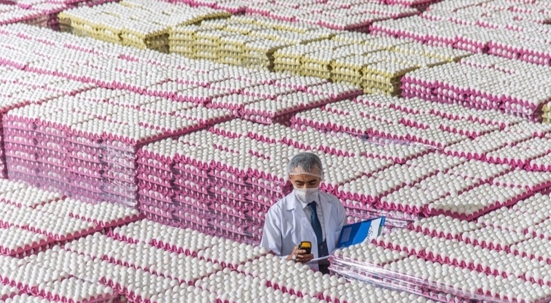 RK, yumurta üreticileri ve yumurta birlikleri inceleyecek