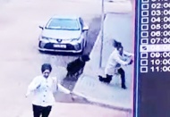 Rottweiler cinsi köpek özel okulun önünde dehşet saçtı