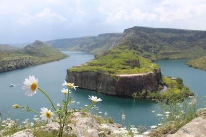 Rumkale, çiçeklerle bezendi