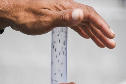 Rus turistlere &#8220;sahillerde Zika virüsü var&#8221; uyarısı