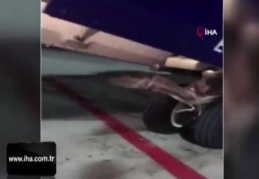 Rus uçağının iniş takımlarına kuş sıkıştı
