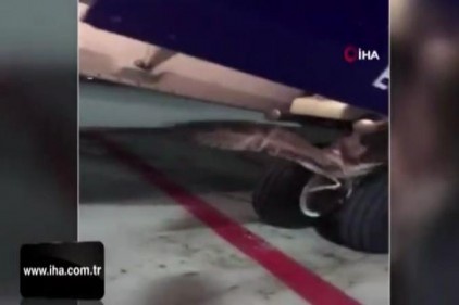 Rus uçağının iniş takımlarına kuş sıkıştı