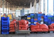Rusya-Ukrayna savaşı üreticiyi vurdu, ihraç ürünleri elde kaldı