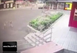 Rusya'da şehre inen ayılar ortalığı birbirine kattı