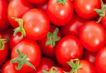 'Rusya'ya domatesin ithalat kotası 200 bin tona çıkarıldı'