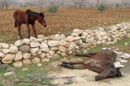 Saatlerce annesinin başında bekledi