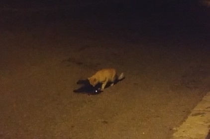Saatlerce başında bekledi