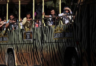 Safari Park önünde uzun kuyruklar oluştu 