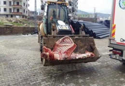 Sağlığa zararlı etler imha edildi
