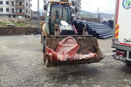 Sağlığa zararlı etler imha edildi
