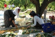 Sağlıksız yaşam koşulları ve düşük ücret