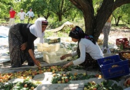 Sağlıksız yaşam koşulları ve düşük ücret