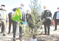 Şahinbey, 27 bin çam bağışladı