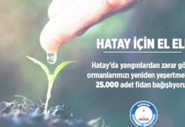Şahinbey Belediyesi Hatay'a 25 bin fidan gönderecek