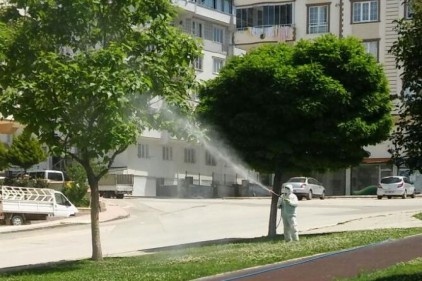 Şahinbey Belediyesi, park ve yeşil alanlarda ilaçlama yapıyor