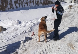 Şahinbey, hasta ve yolda kalanları evlerine ulaştırdı