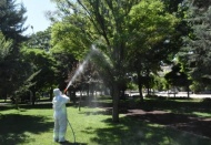 Şahinbey, park ve yeşil alanlarda ilaçlama çalışmalarını sürdürüyor