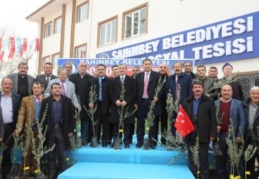 Şahinbey’de 500 bin adet zeytin fidanının dağıtımına başlandı