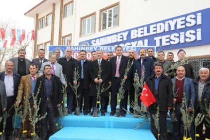 Şahinbey&#8217;de 500 bin adet zeytin fidanının dağıtımına başlandı