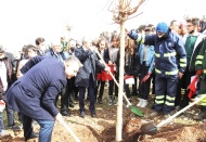Şahinbey'de 26 bin ağaç dikilecek