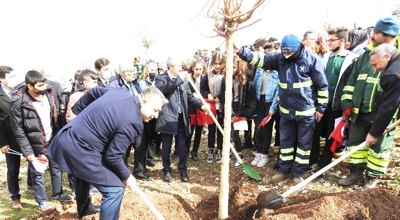 Şahinbey'de 26 bin ağaç dikilecek