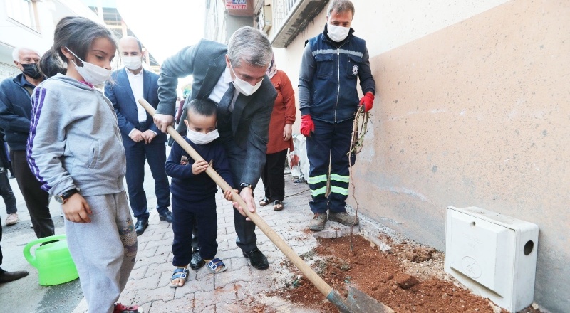 Şahinbey’de 5 bin tane asma fidanı dikildi