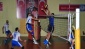 Şahinbey’de efelerin koltuğu sağlam