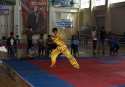 Şahinbey'de Wushu turnuvası düzenlendi