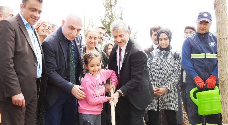 Şahinbey’deki boş arazi ormana dönüşüyor