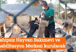 Sahipsiz Hayvan Bakımevi ve Rehabilitasyon Merkezi kurulacak