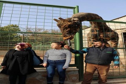 Şakir&#8217;in girmediği ev kalmadı