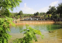 Saklı bahçe 